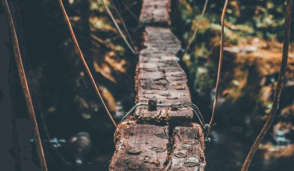 Single pass wood bridge being held up by rope in trees