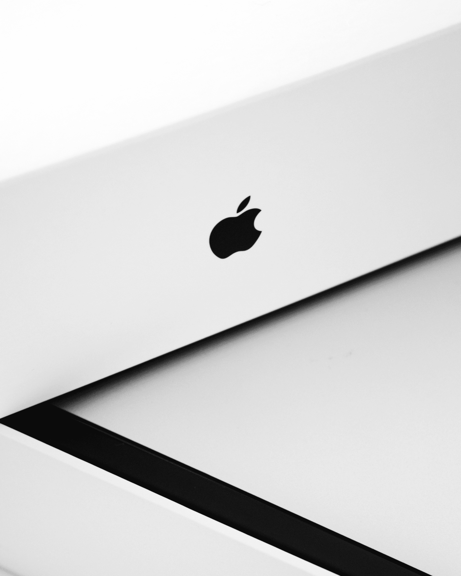 apple vision pro