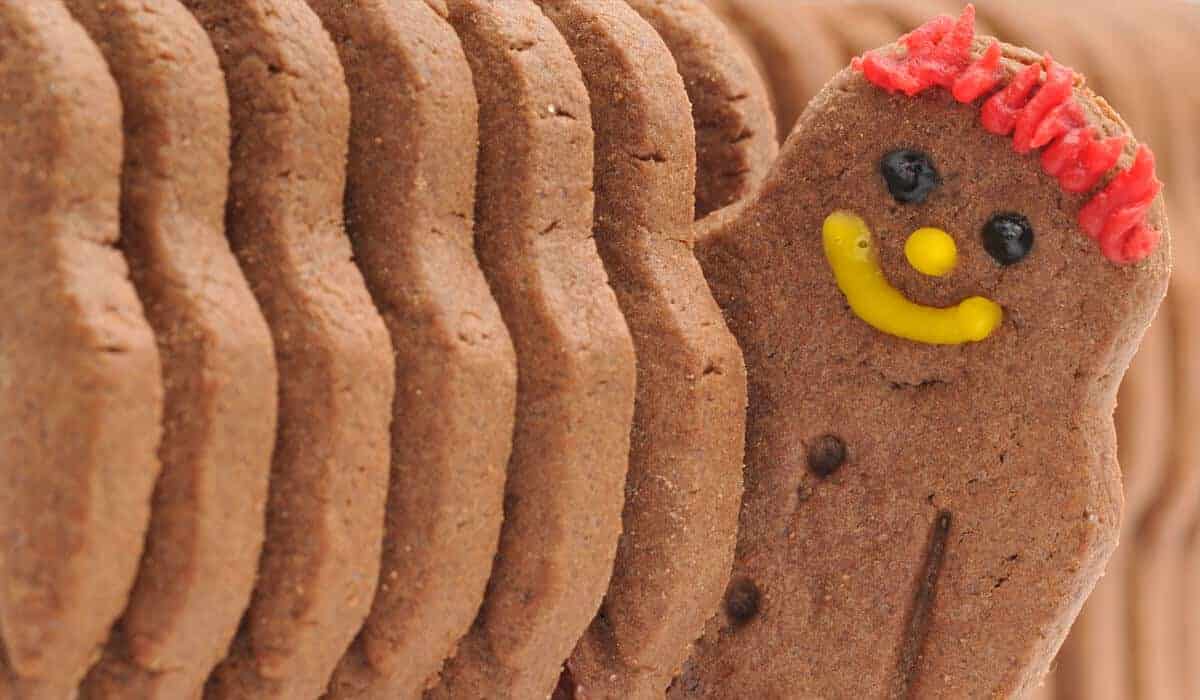 gingerbread cooking sticking out of a lone with crazy frosting